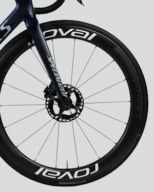 Yves Lampaert | Specialized S-Works Tarmac SL7