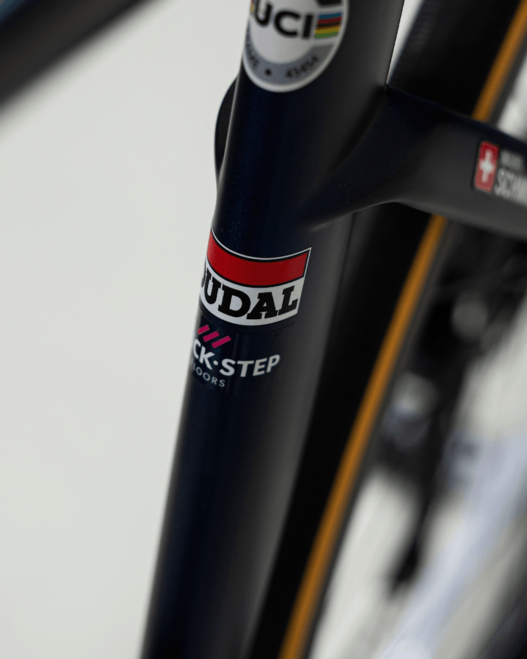 Mauro Schmid | Specialized S-Works Tarmac SL7