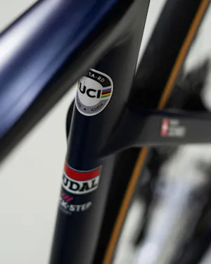 Mauro Schmid | Specialized S-Works Tarmac SL7