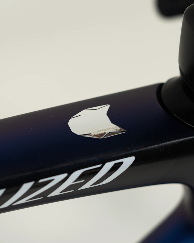 Pieter Serry | Specialized S-Works Tarmac SL7