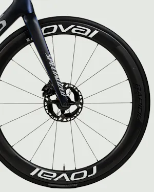 Tim Merlier | Specialized S-Works Tarmac SL7