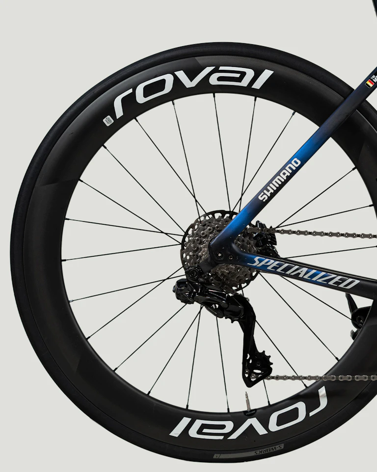 Tim Merlier | Specialized S-Works Tarmac SL7