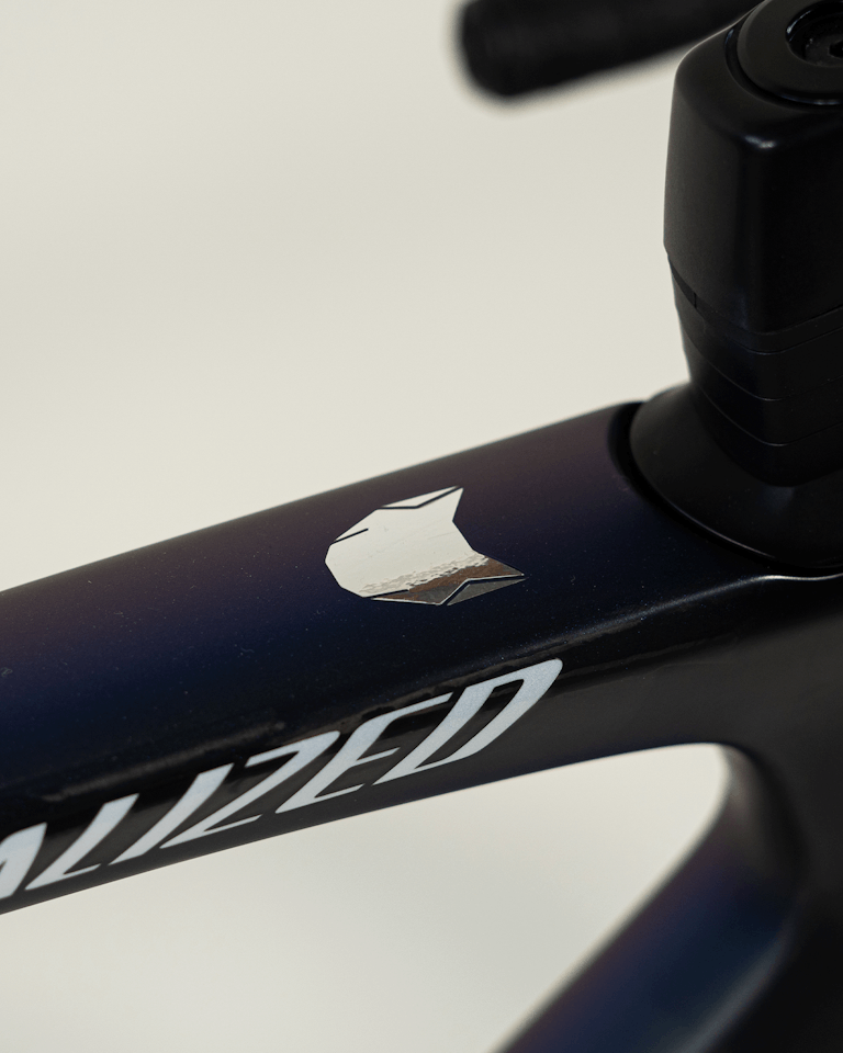 Tim Merlier | Specialized S-Works Tarmac SL7