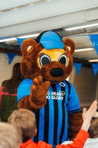 Club bear Bibi at your children's party