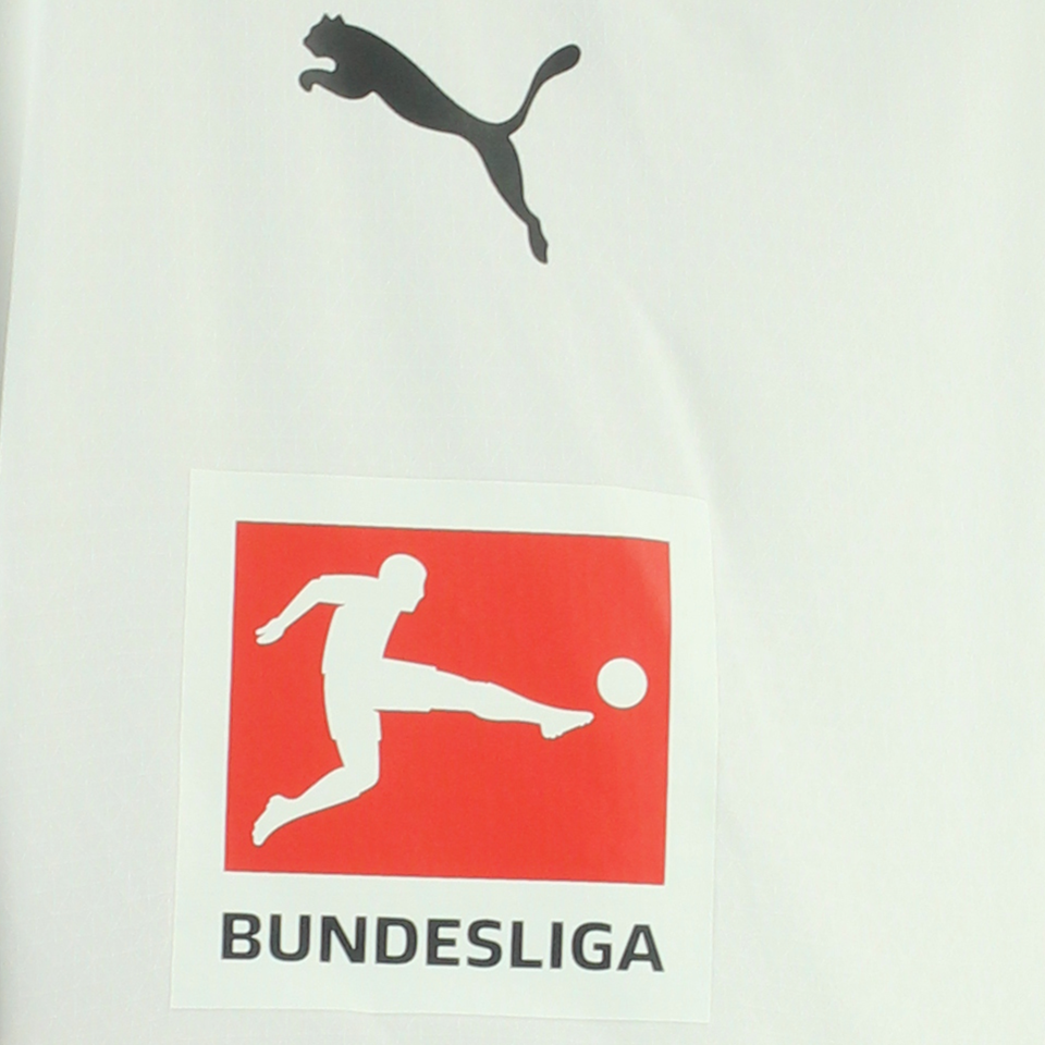 Marvin Friedrich Borussia Mönchengladbach jersey