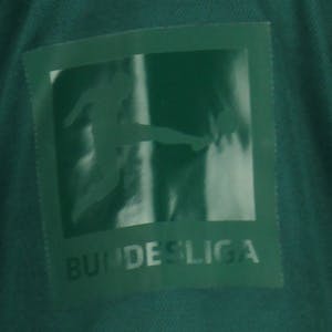 Marvin Ducksch Werder Bremen shirt