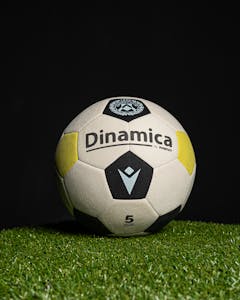 Jaka Bijol | Signed Ball