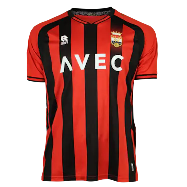 Maillot de Raffael Behounek (Willem II)