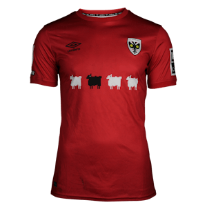 John-Joe O'Toole AFC Wimbledon shirt