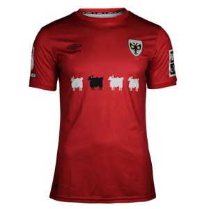 Maglia di Josh Neufville (AFC Wimbledon)