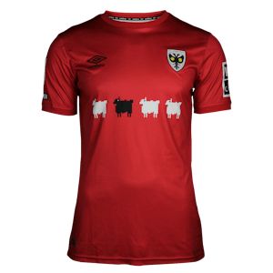 James Tilley AFC Wimbledon camisa.