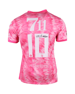 Desley Ubbink FC Emmen shirt