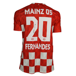 Edimilson Fernandes Mainz 05 shirt