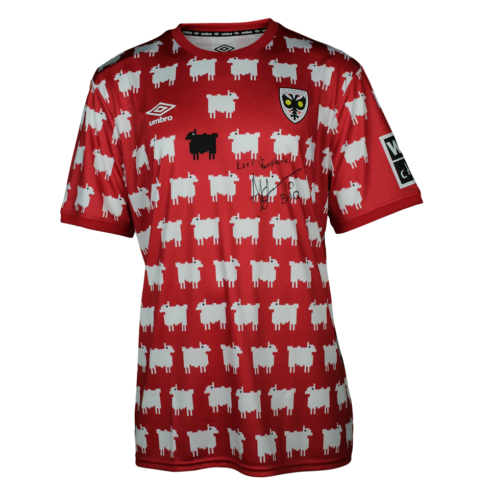 Shirt Signed by Adebayo Akinfenwa