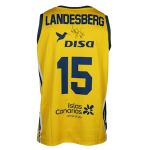 Sylven Landesberg