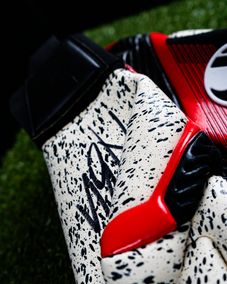 Eduardo dos Santos Haesler | Goalkeeper Gloves