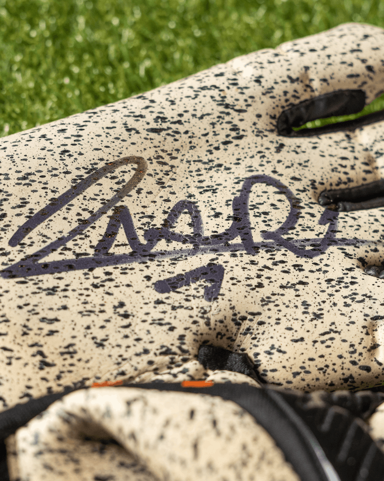 Paul Nardi | Signed Gloves