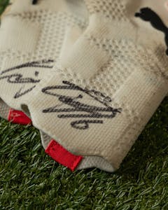 Daniel Schmidt | Signed Gloves - 2