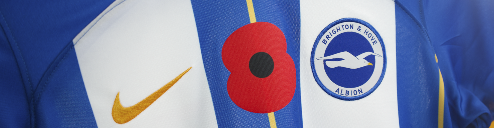 Brighton & Hove Albion WFC header image