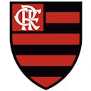 Flamengo - Botafogo logo