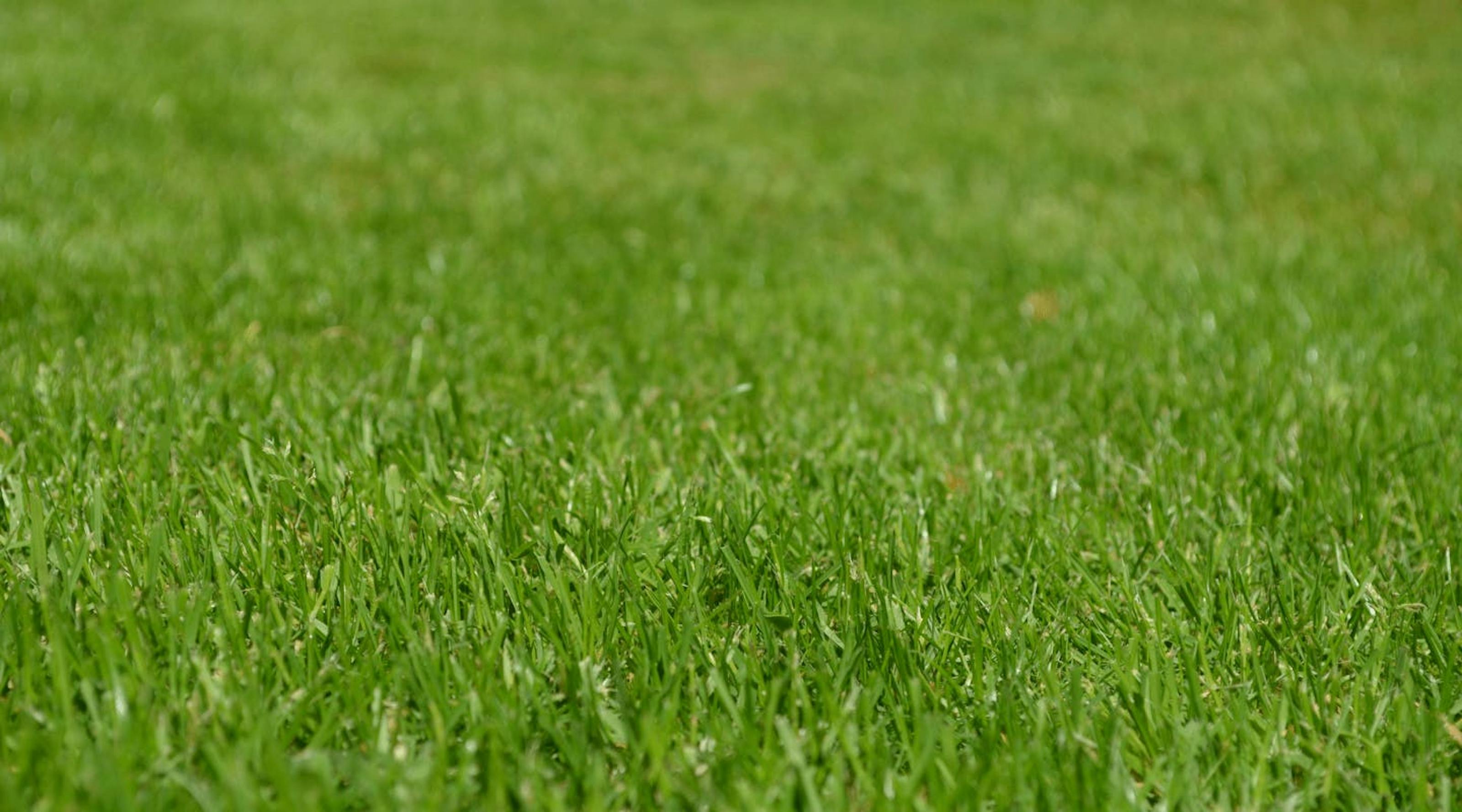 Oldham Athletic header image